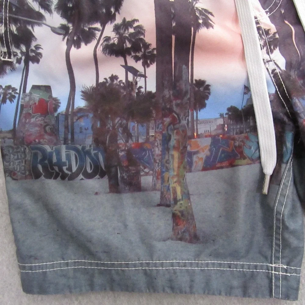 Page One Mens Board Shorts L Cityscape Santa Monica Venice All Over